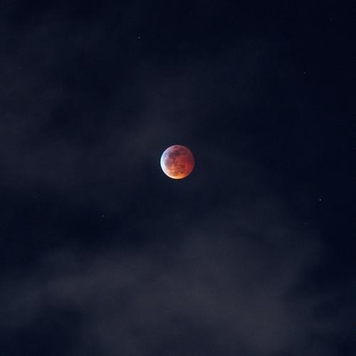 Cosmo (Original Mix)