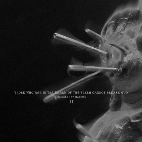 Those Who Are In The Realm Of The Flesh Cannot Please God - Remixes + Variations