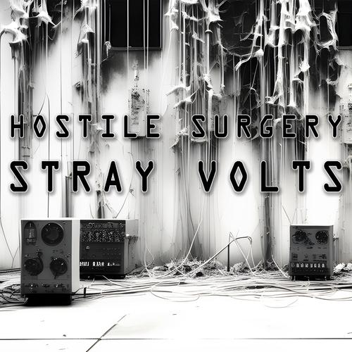 Stray Volts 