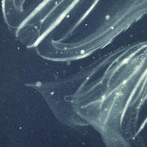 Water Memories (Daniel[i] Purple Dub)