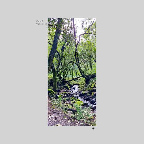 Beta (Original MIx)