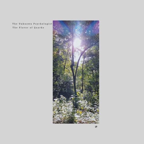 The First Fledge (Original MIx)