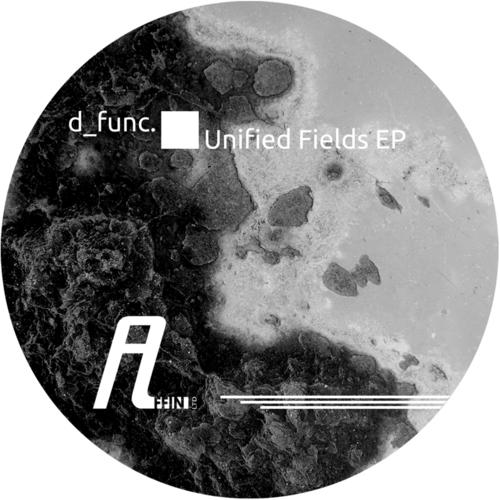 Unified Fields