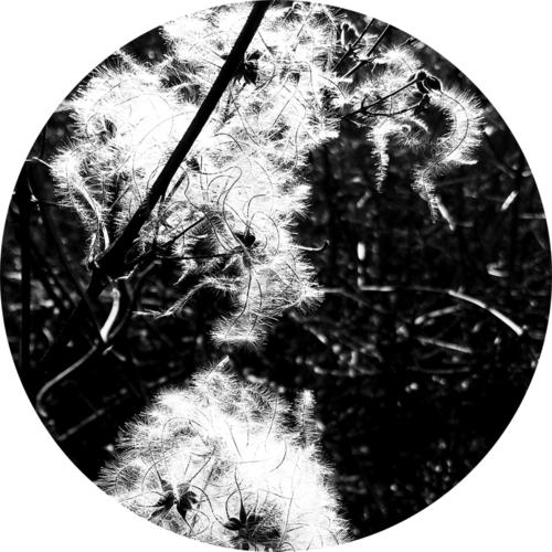 Dispersion (Dino Sabatini Rework)
