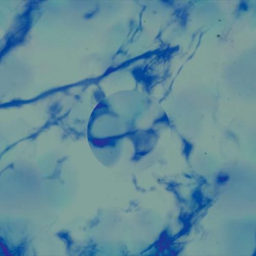 Log 003 - Dycide