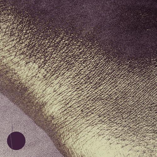 Log 021 - Polygonia