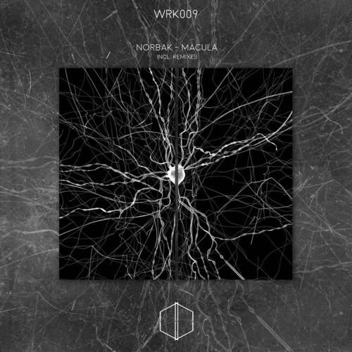 Macula 