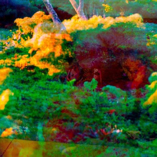 A|1|01
