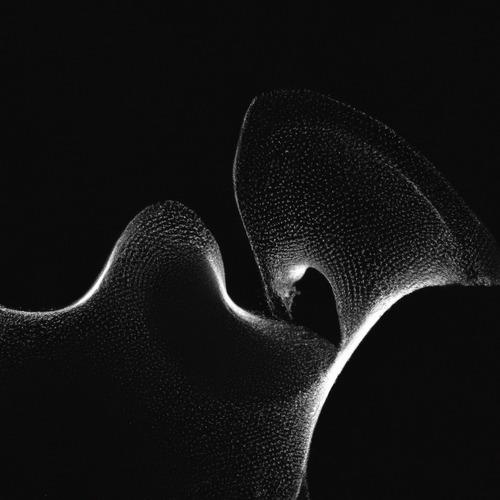 Floatform