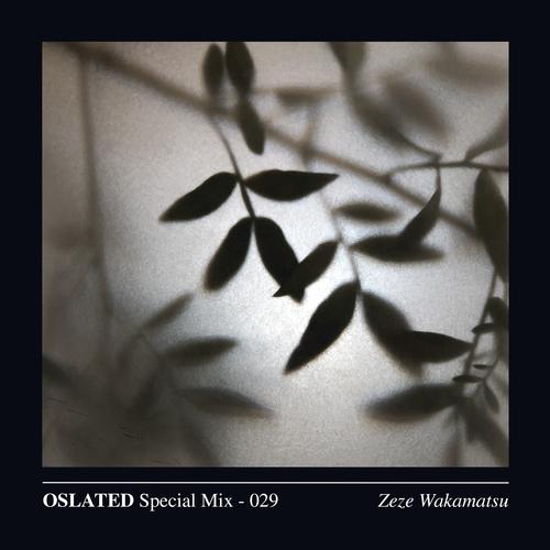 Oslated Special Mix 029