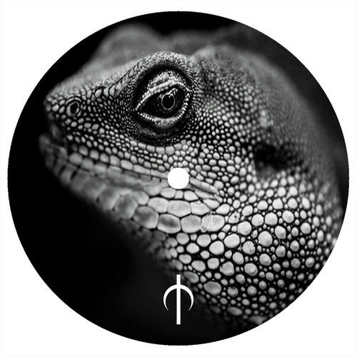 WCYA Disturbance of Perception incl. Kessell, Temudo & Ricardo Garduno Remix