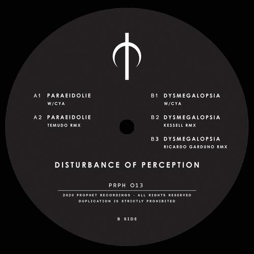 Disturbance of perception