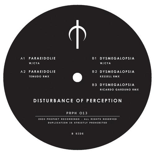 Dysmegalopsia