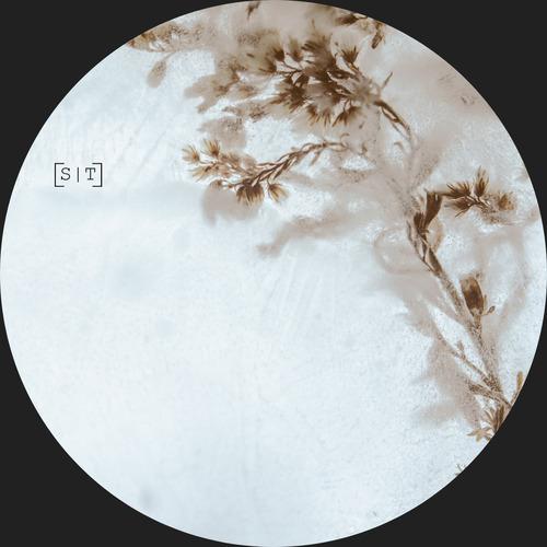 Flora III (Worg Remix)