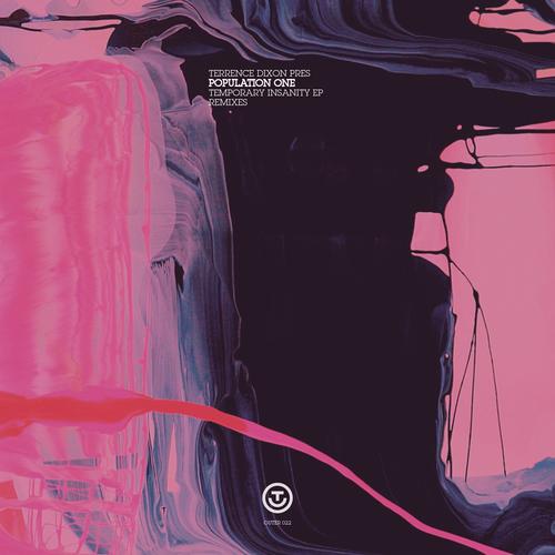 Temporary Insanity - Voiski remix