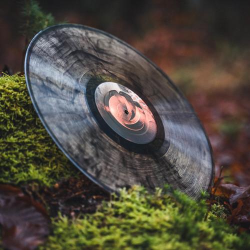 FSR002 Vinyl 12"