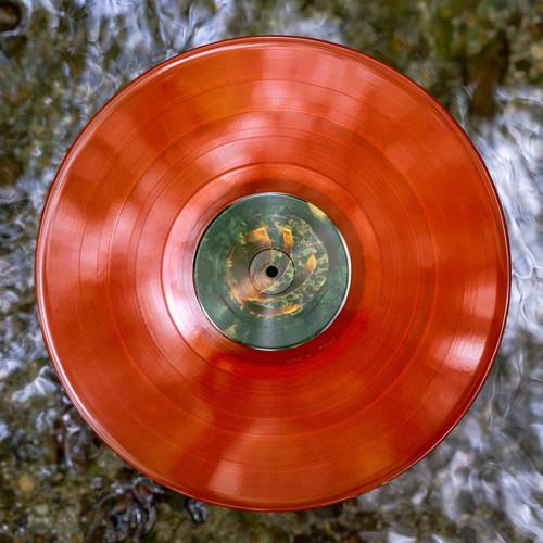 FSR003 Vinyl 12"