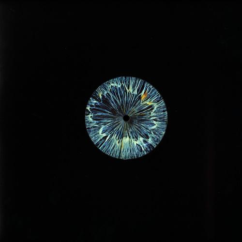 Organic Elements Pt.2 12"