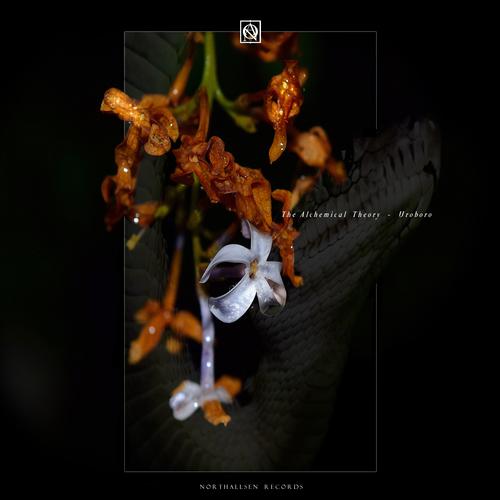 Eternal Return (Volster Remix)