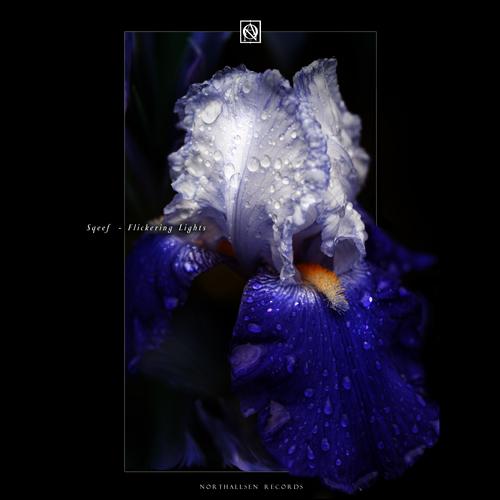 Flickering Lights (Aleja Sanchez Remix)