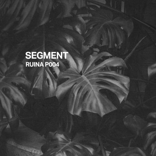 Ruina P004 | Segment