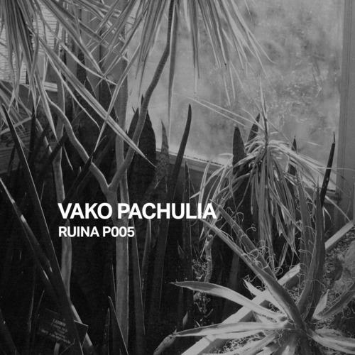 Ruina P005 | Vako Pachulia