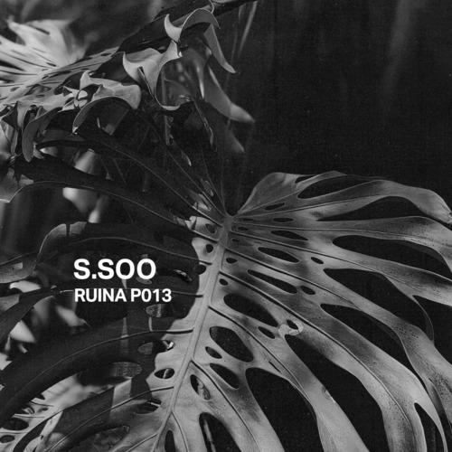 Ruina P013 | s.soo