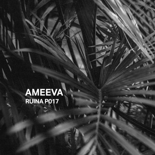 Ruina P017 | Ameeva