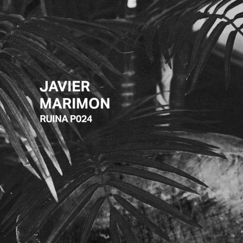 Ruina P024 | Javier Marimon