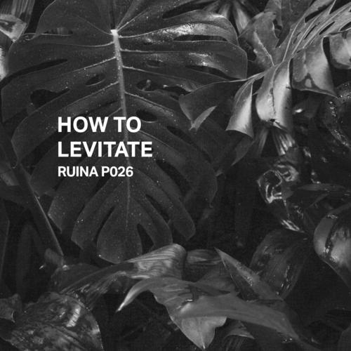 Ruina P026 | How to levitate