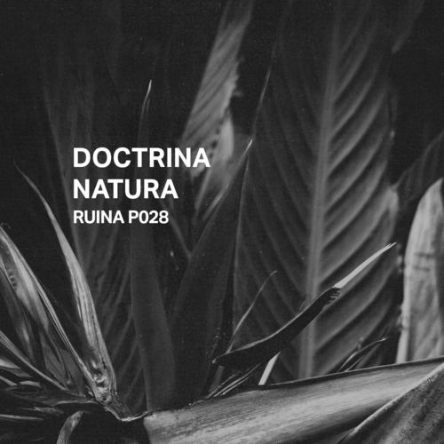 Ruina P028 | Doctrina Natura