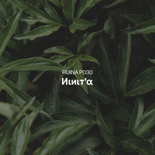 Ruina P030 | Иιиιт'α