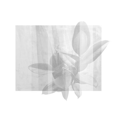 .CHPTR004 記号