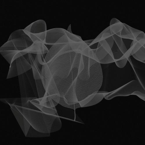 .CHPTR010 ‘Forest asymmetry’