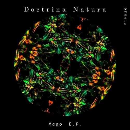 Misty Zenith (Original Mix)
