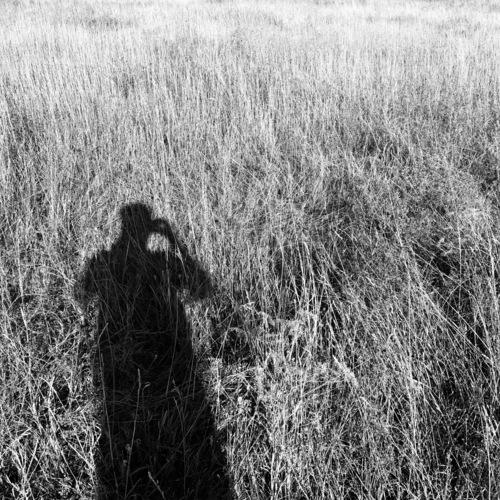 Spectral Perception 