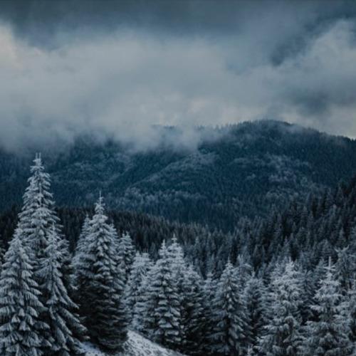 Deep Breakfast 238 ~ Metanoia