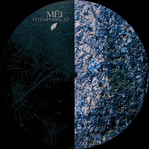 Holly Spirits [OSR015]