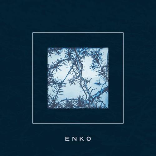 Codon [CRSCNT03]