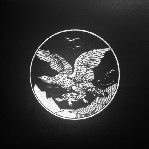 Denise Rabe | The Eagle And The Tortroise | Rabe004