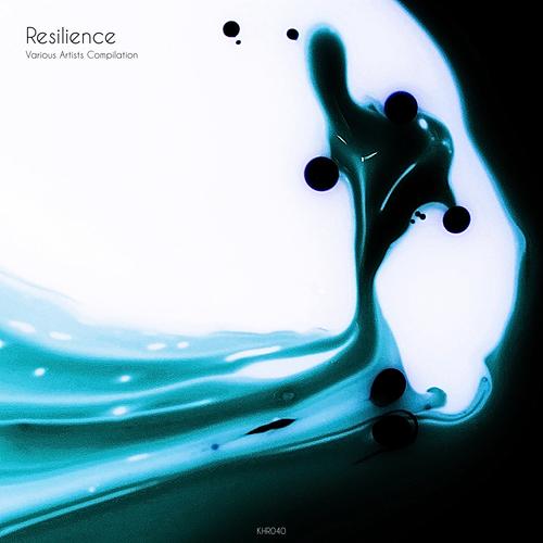 Resilience VA