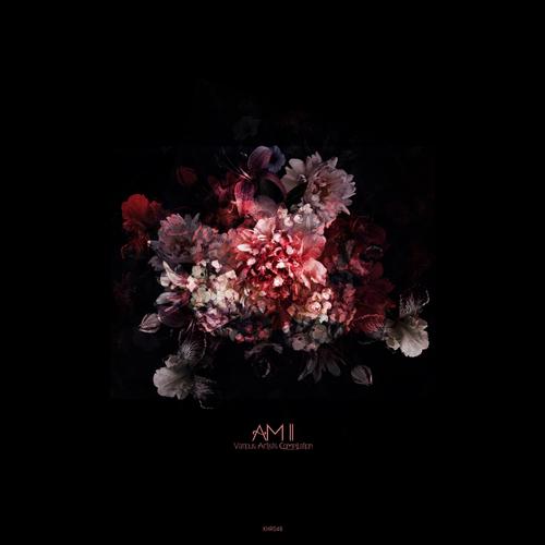 AM II V/A