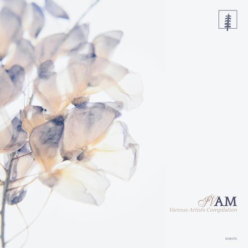 KHR077 | AM IV V/A