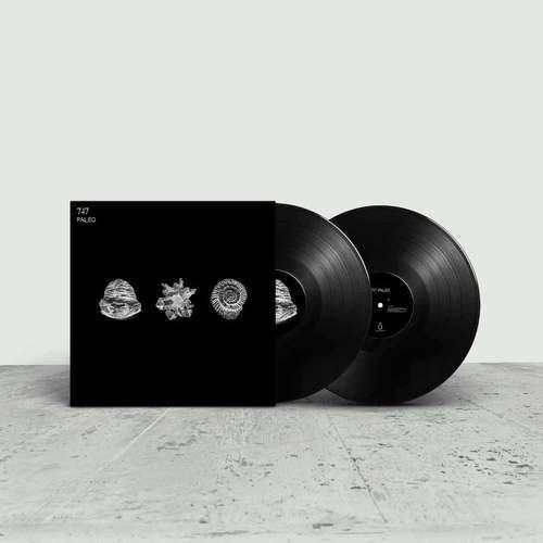 Paleo 2x12"