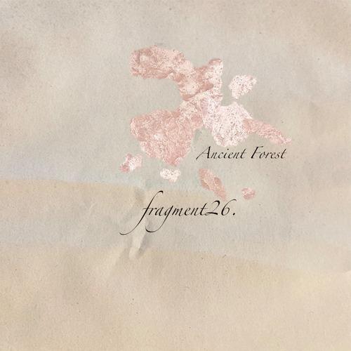 fragment26: Ancient Forest