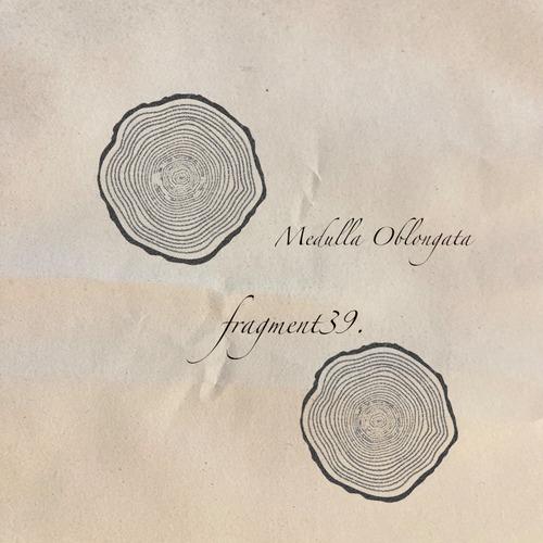 fragment39A: Medulla Oblongata