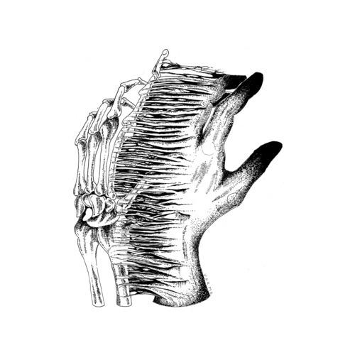 Forzgar