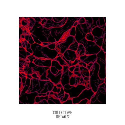Cytoplasmic