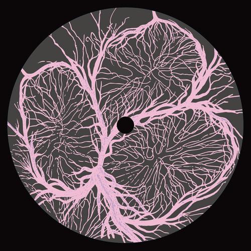 Sleeping Beauty Working Beast (incl. Blazej Malinowski and Patrick Siech Remixes) [MOFF008]