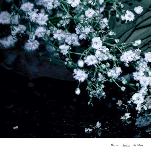 Between The Silence Remixes